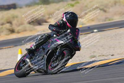 media/Nov-11-2023-SoCal Trackdays (Sat) [[efd63766ff]]/Turn 16 (11am)/